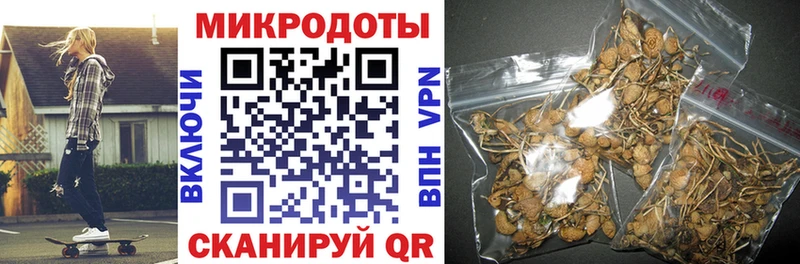 Псилоцибиновые грибы Psilocybine cubensis  Фрязино 